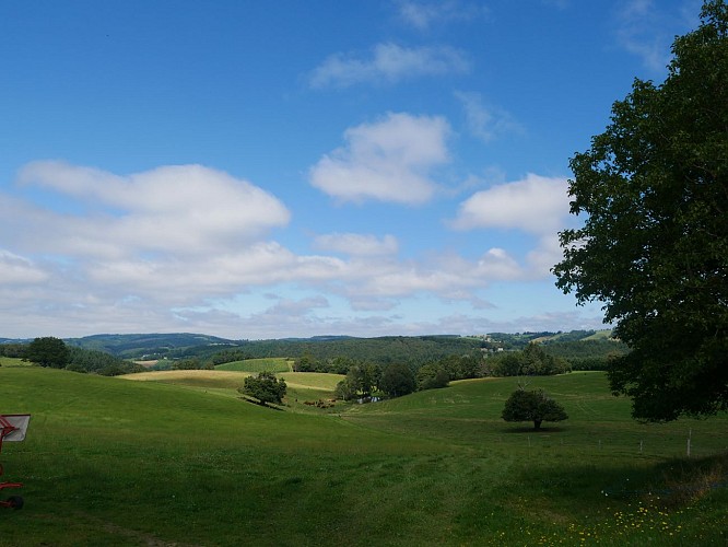 Le Chemin des chèvres