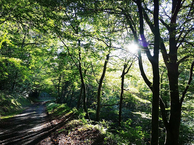 Rando pédestre - Le Moulègre