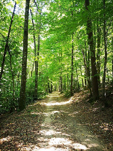 Hiking trail - Le Mur du Diable