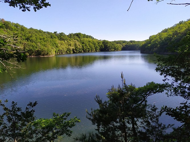 Rando pédestre - Le sentier des Fraulières