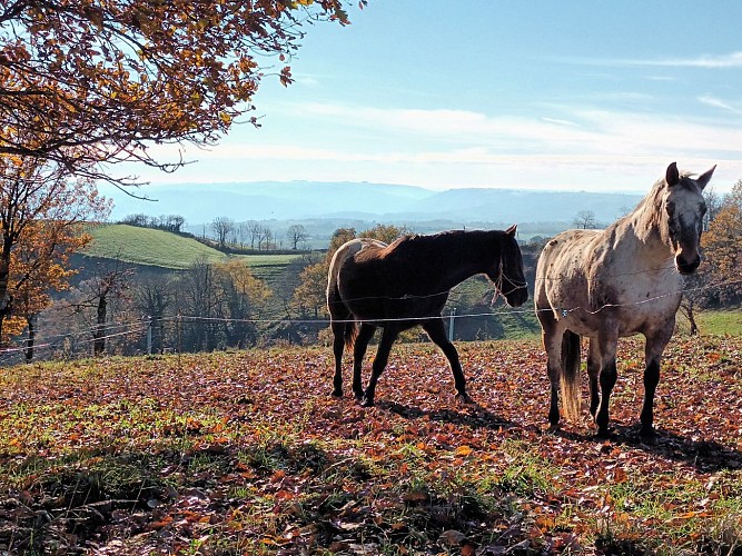 Wandelpad - Le sentier des Puechs