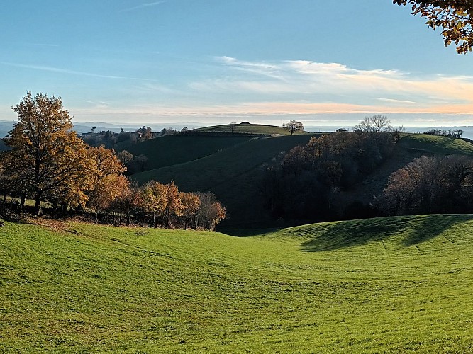 Wandelpad - Le sentier des Puechs