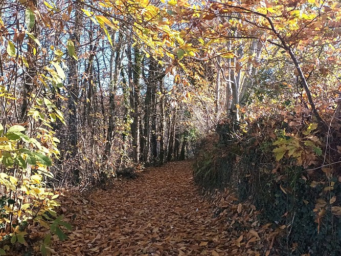 Wandelpad - Le sentier des Puechs