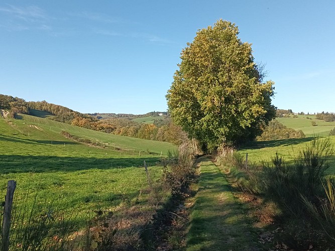 Wandelpad - Le Veinazès