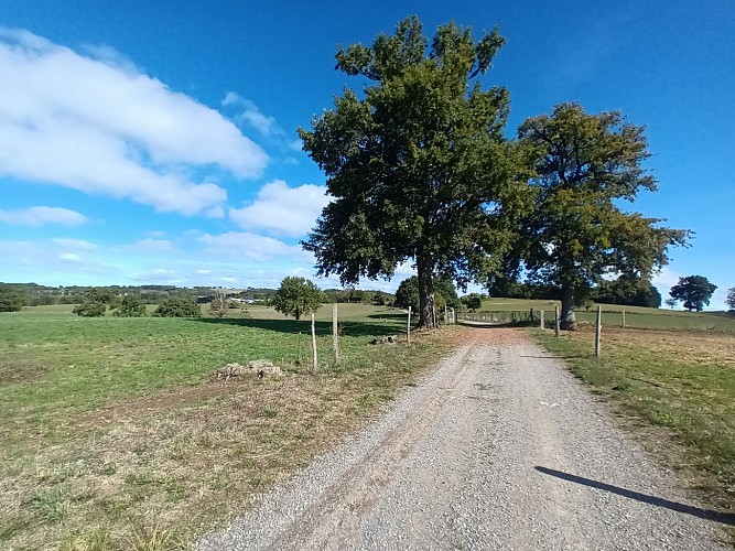 Wandelpad - Les Châtaigniers