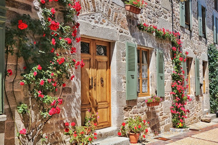 Rando pédestre - Les chênes rouges