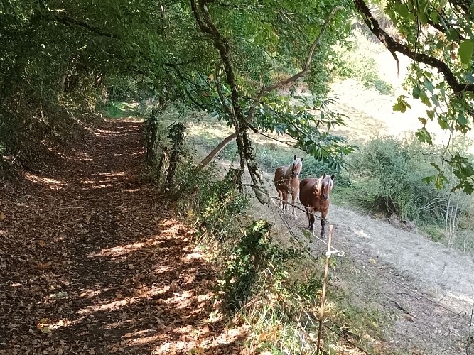 Hiking trail - Les Quatre Vallées