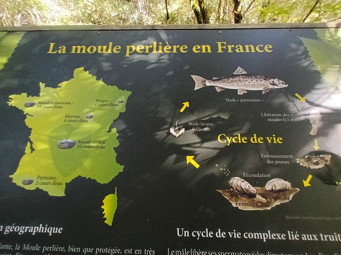 Hiking trail - The Treasures of the Upper Célé River