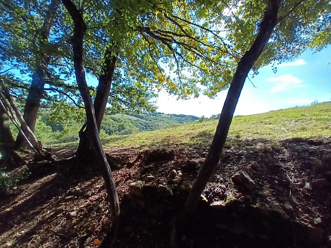 Hiking trail - The Treasures of the Upper Célé River