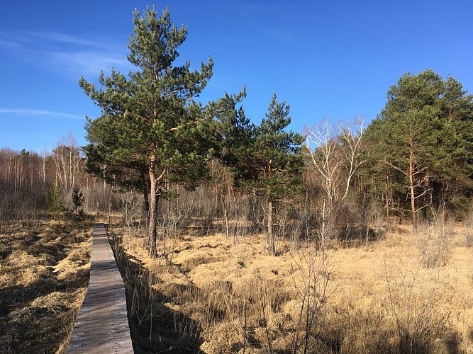 Hiking trail "Link to the Cassan Marsh"