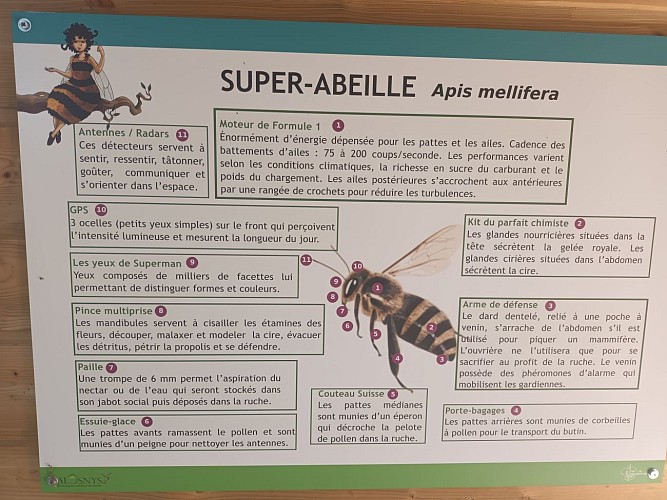 Rucher pédagogique de Miécaze