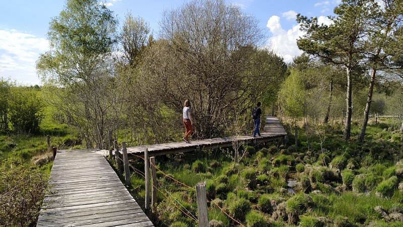 Wandelpad "Verbinding naar het Cassan-moeras"