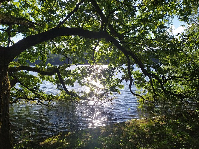 Presqu'île de Rénac