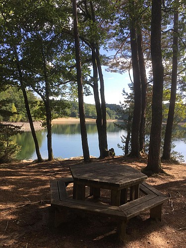 Presqu'île de Rénac