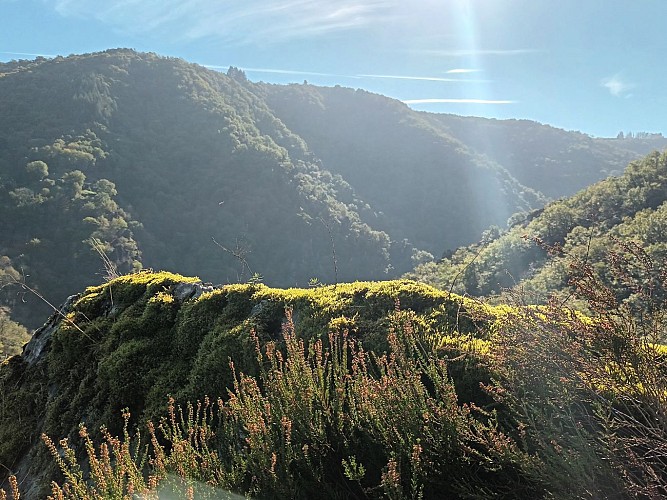 Hiking trail - La Dame du Castel d’Auze