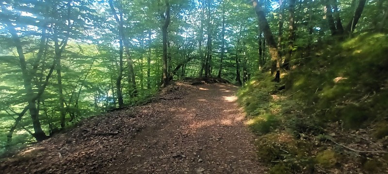 Hiking trail - Le Pont du Rouffet_Arnac