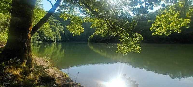 Hiking trail - Le Pont du Rouffet_Arnac