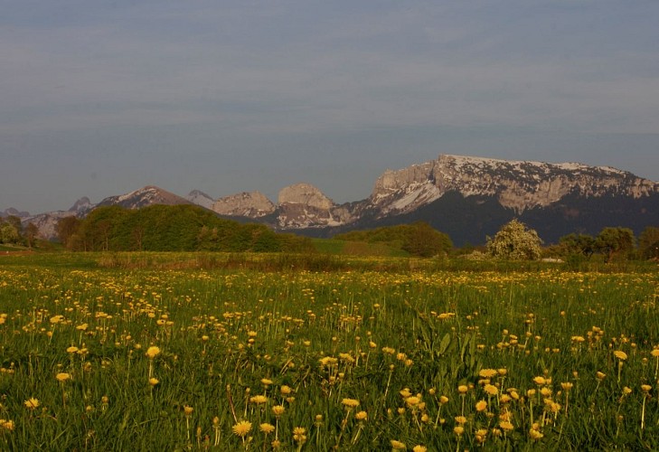 Percorso a piedi del Grand Plateau des Bornes