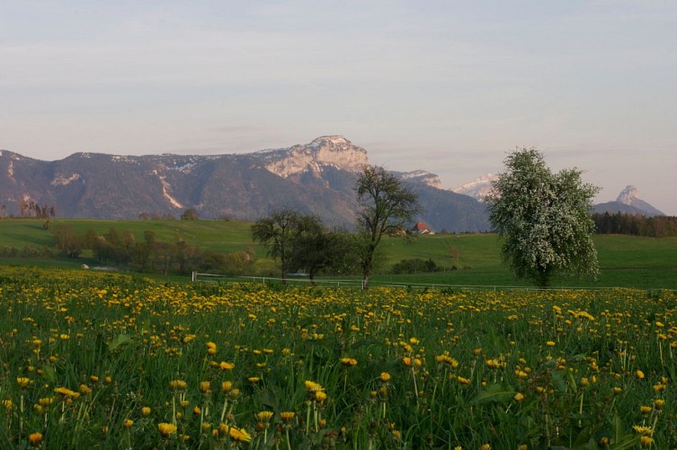 Percorso a piedi del Grand Plateau des Bornes