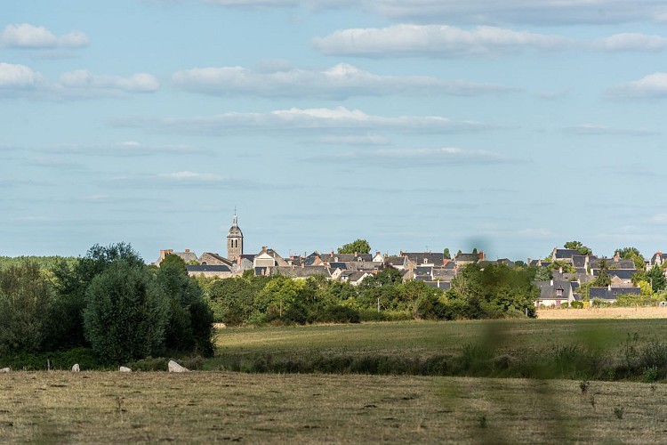 DENÉE - 31 - LES JUBEAUX