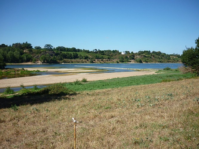 DENÉE - 31 - LES JUBEAUX