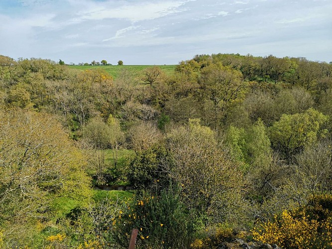 SAINT-LAMBERT-DU-LATTAY - 40 - COTEAU DES MARTYRS