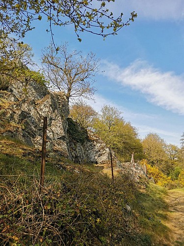 SAINT-LAMBERT-DU-LATTAY - 40 - COTEAU DES MARTYRS