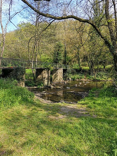 SAINT-LAMBERT-DU-LATTAY - 40 - COTEAU DES MARTYRS