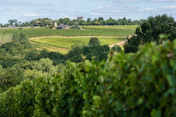 RABLAY SUR LAYON - 55 - L'ÉVEIL EN COULEUR