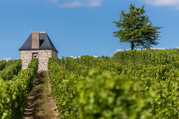 RABLAY SUR LAYON - 55 - L'ÉVEIL EN COULEUR