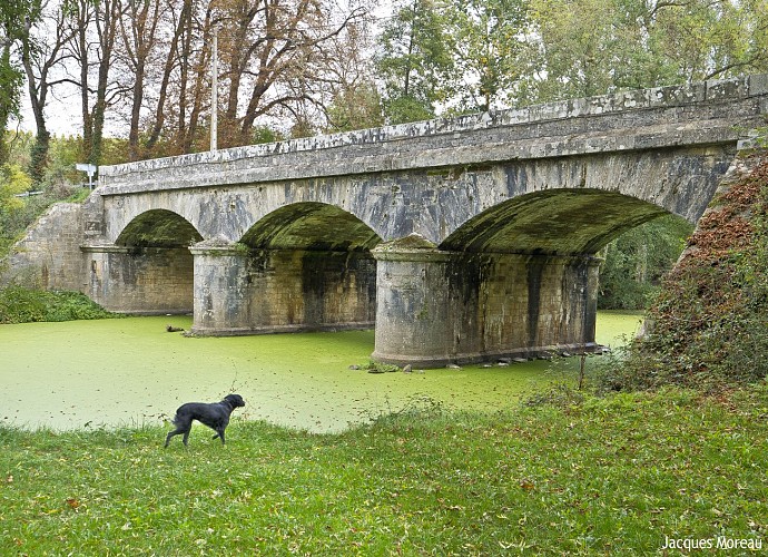 RABLAY SUR LAYON - 55 - L'ÉVEIL EN COULEUR