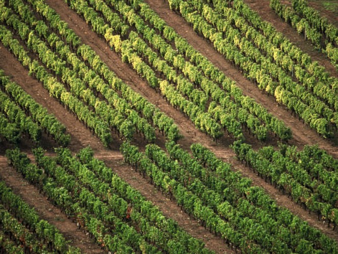 BEAULIEU SUR LAYON - 46 - DE LA FORÊT AU LAYON