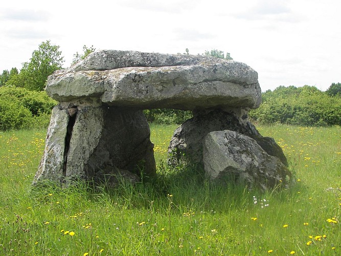 BEAULIEU SUR LAYON - 46 - DE LA FORÊT AU LAYON