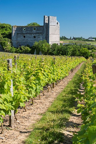 Randonnées "Des fours aux moulins"