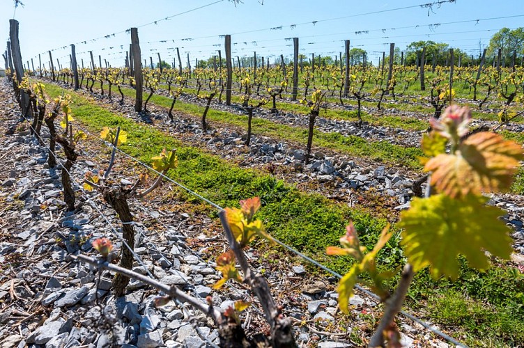 Randonnées "Des fours aux moulins"