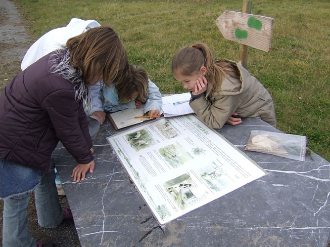 Balade intra-muros à Montjean-sur-Loire : son patrimoine industriel et fluvial et ses sculptures monumentales