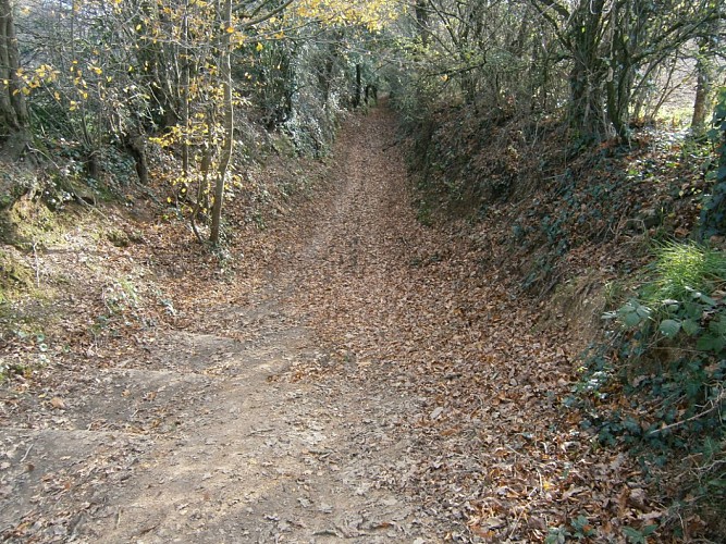 Randonnée "L'abbaye de Bellefontaine et le chemin des canons"