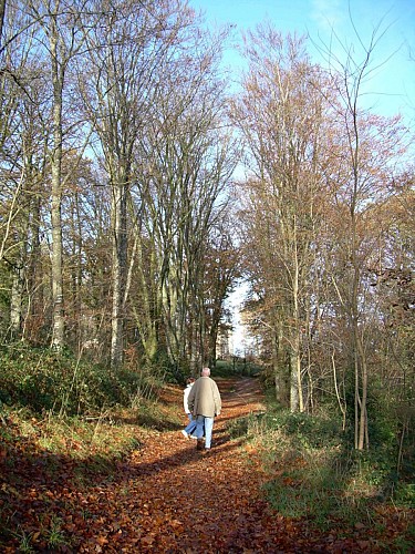 Randonnée "L'abbaye de Bellefontaine et le chemin des canons"