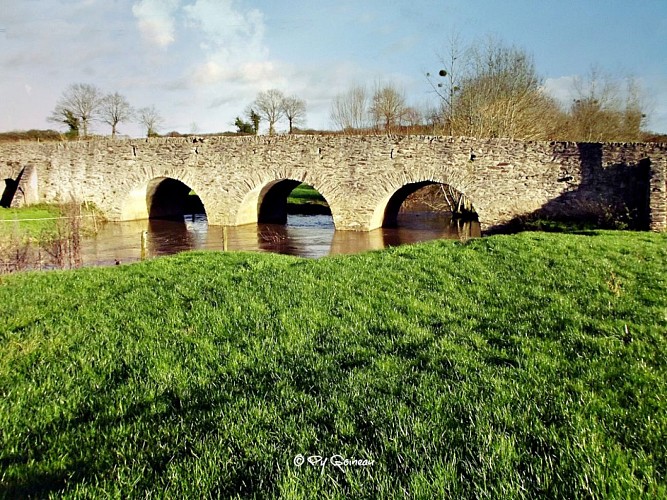 Randonnée "Sur les traces de Cathelineau"