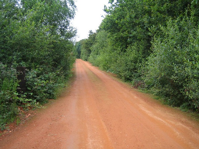 Randonnée "Les biches"