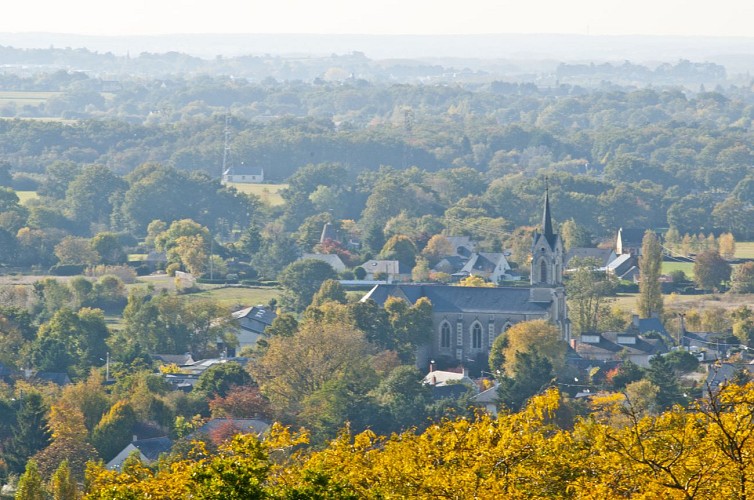 SAINT-JEAN-DES-MAUVRETS - 82 - BUCHÊNE