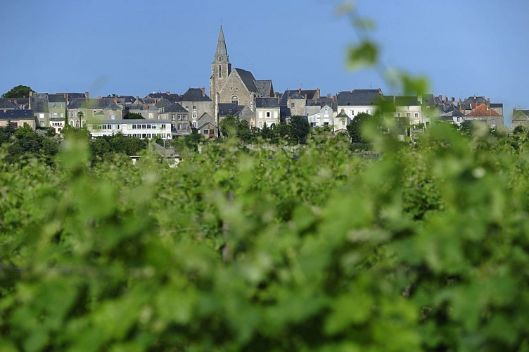 BRISSAC-QUINCÉ - 71 - CIRCUIT DU MOULIN DE RAS