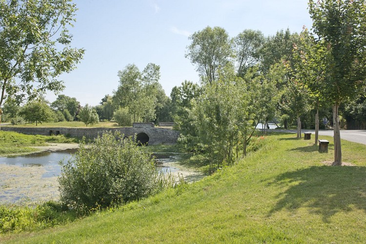 JUIGNE-SUR-LOIRE - 80 - LOIRE ET VIEUX HAMEAUX