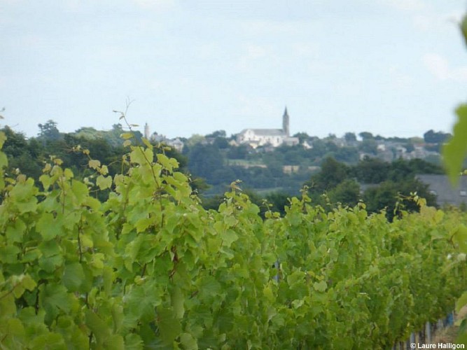 JUIGNE-SUR-LOIRE - 80 - LOIRE ET VIEUX HAMEAUX