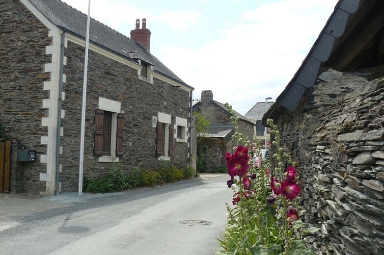 JUIGNE-SUR-LOIRE - 80 - LOIRE ET VIEUX HAMEAUX