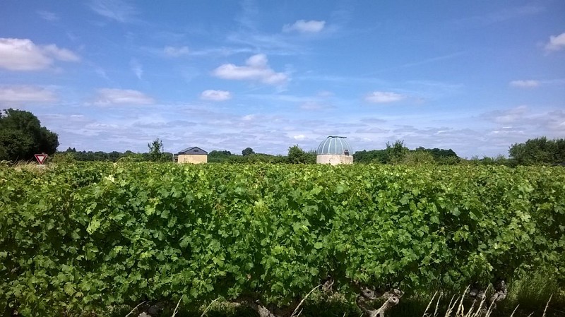 SAINT-SATURNIN-SUR-LOIRE - 83 - CIRCUIT DES PETITS CANARDS