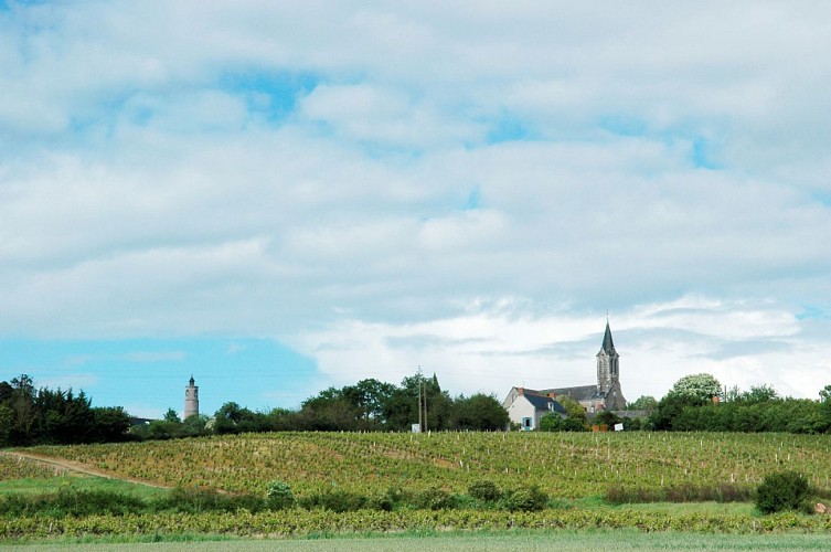 SAINT-SATURNIN-SUR-LOIRE - 83 - CIRCUIT DES PETITS CANARDS