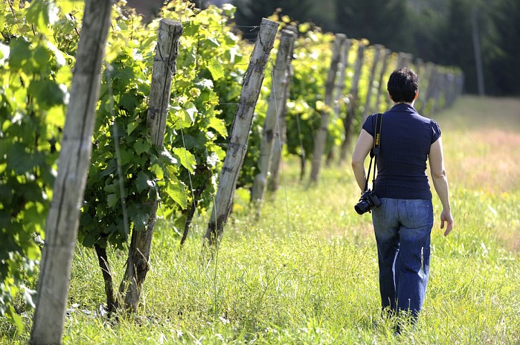 VAUCHRÉTIEN - 72 - LE GRAND LUMA