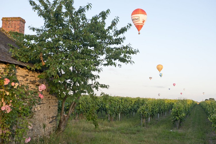 VAUCHRÉTIEN - 72 - LE GRAND LUMA