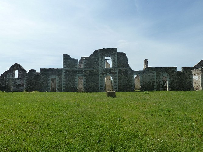 ROCHEFORT-SUR-LOIRE - 25 - VALLÉE LOIRE LOUET